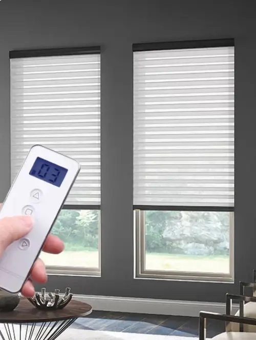 Motorized Blinds