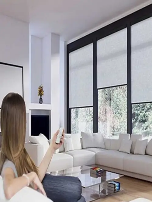 Motorized Blinds