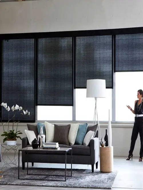 Motorized Blinds