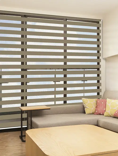 Zebra Blinds